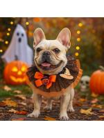 PUOŠNI APYKAKLĖ ŠUNIMS, UŽRIŠAMA, HALLOWEEN (ORANŽINĖ)