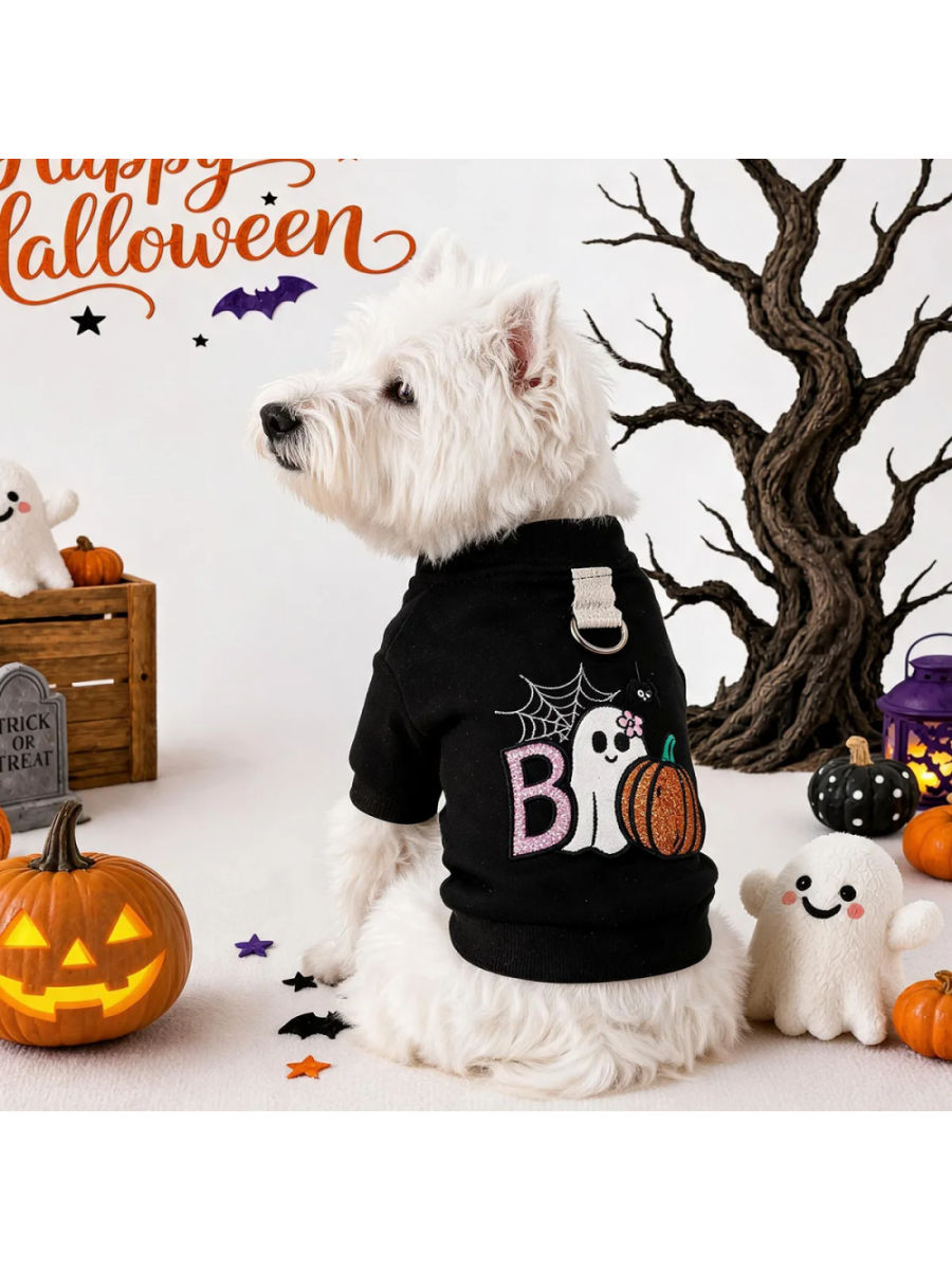 DŽEMPERIS ŠUNIUKUI "HALLOWEEN" UŽSEGAMAS (JUODAS) SU KILPUTE