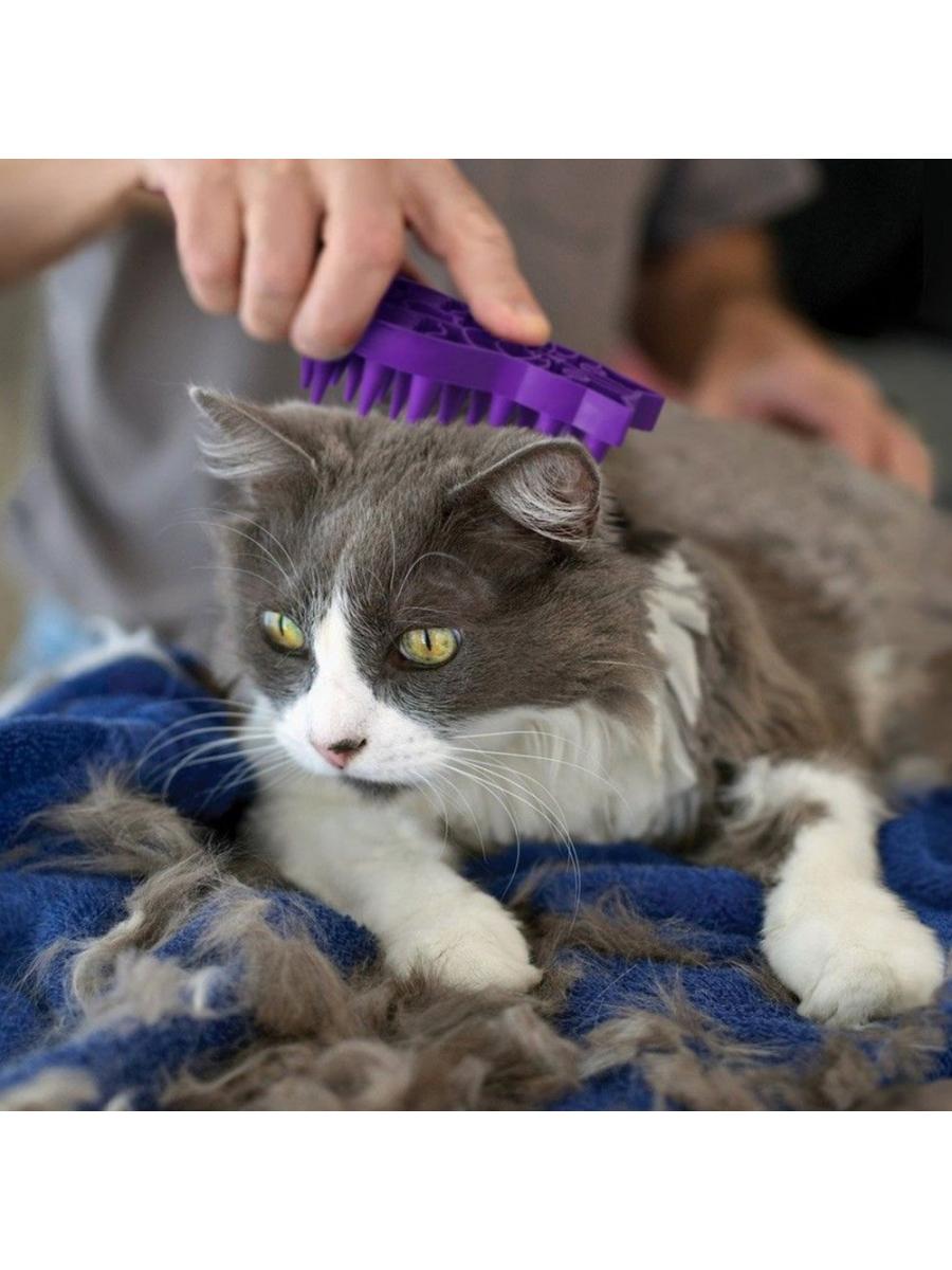 KONG Zoom Groom guminės masažo šukos katėms, 11,5 cm